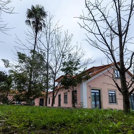 Homestay Zen & Art - De Charme *