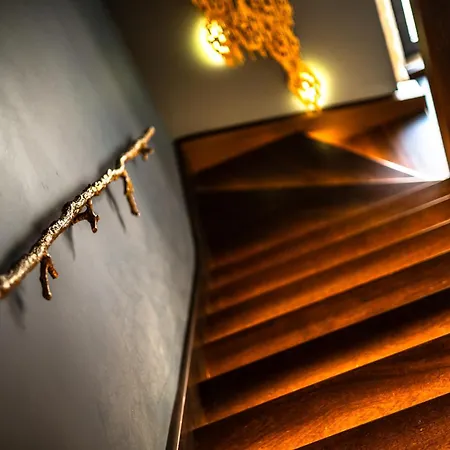 Zen & Art - De Charme Homestay Santa Maria da Feira