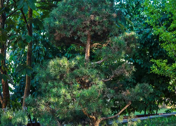 Zen & Art - De Charme * Santa Maria da Feira